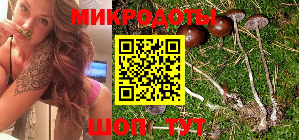 Галлюциногенные грибы Cubensis Кушва