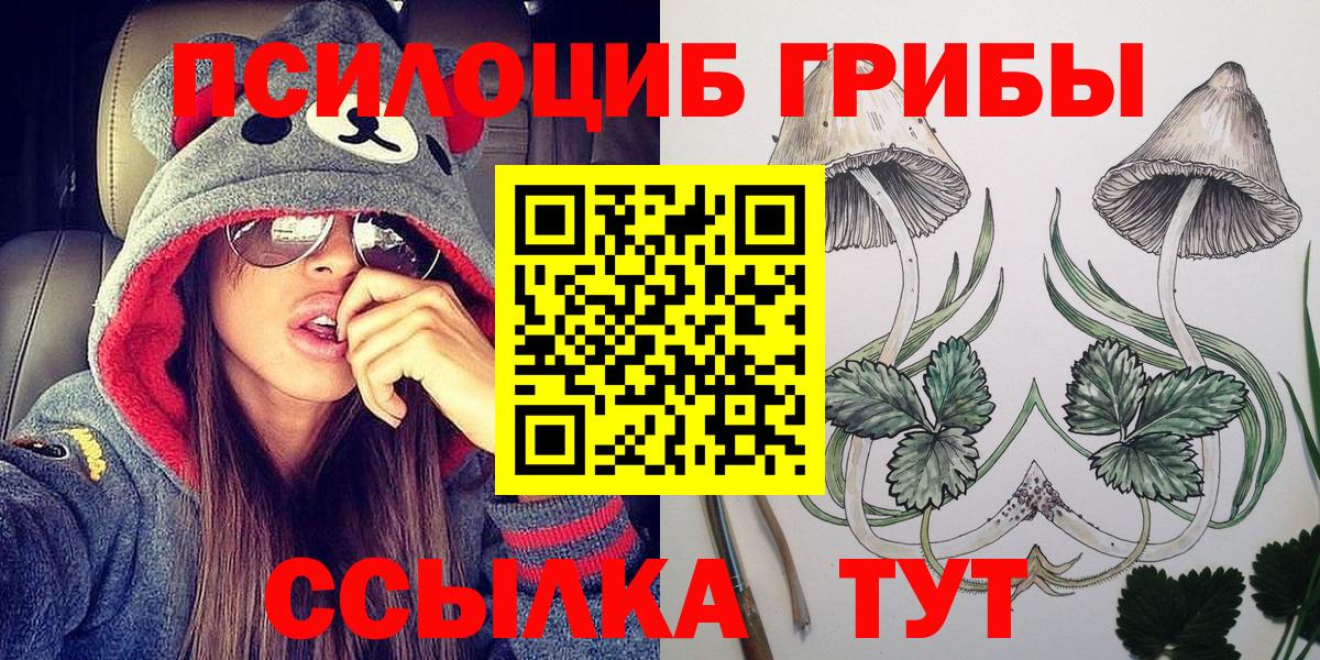 Кушва  Галлюциногенные грибы прущие грибы  купить наркотик  Вход с VPN 